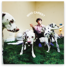 Rex Orange County - Who Cares? (Vinyle Neuf)