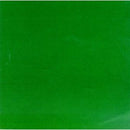 Skankin Pickle - The Green Album (Vinyle Neuf)