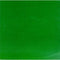 Skankin Pickle - The Green Album (Vinyle Neuf)