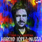 Harold Lopez-Nussa - Timba A La Americana (Vinyle Neuf)