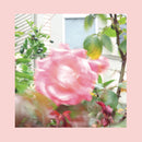 Reds Pinks And Purples - Summer At Lands End (Vinyle Neuf)