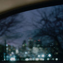 Natural Wonder Beauty Concept - Natural Wonder Beauty Concept (Vinyle Neuf)