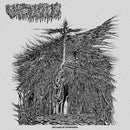 Vacuous - Dreams Of Dysphoria (Vinyle Neuf)