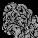 Svalbard - One Day All This Will End Import (Vinyle Neuf)