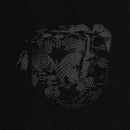 Mi Amore - Crawling Kingsnake (Vinyle Neuf)