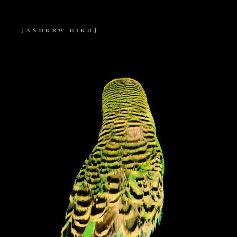 Andrew Bird - Armchair Apocrypha (Vinyle Neuf)