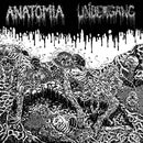 Undergang / Anatomia - Split (Vinyle Neuf)