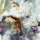 These Arms Are Snakes - Tail Swallower and Dove (Vinyle Neuf)