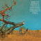 Molly Tuttle / Golden Highway - Crooked Tree (Vinyle Neuf)