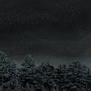 Besnard Lakes - The Besnard Lakes Are The Prayers For The Death Of Fame (Vinyle Neuf)