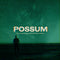 BBC Radiophonic Workshop - Possum Soundtrack (Vinyle Neuf)