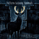 Pattern-Seeking Animals - Only Passing Through (Vinyle Neuf)