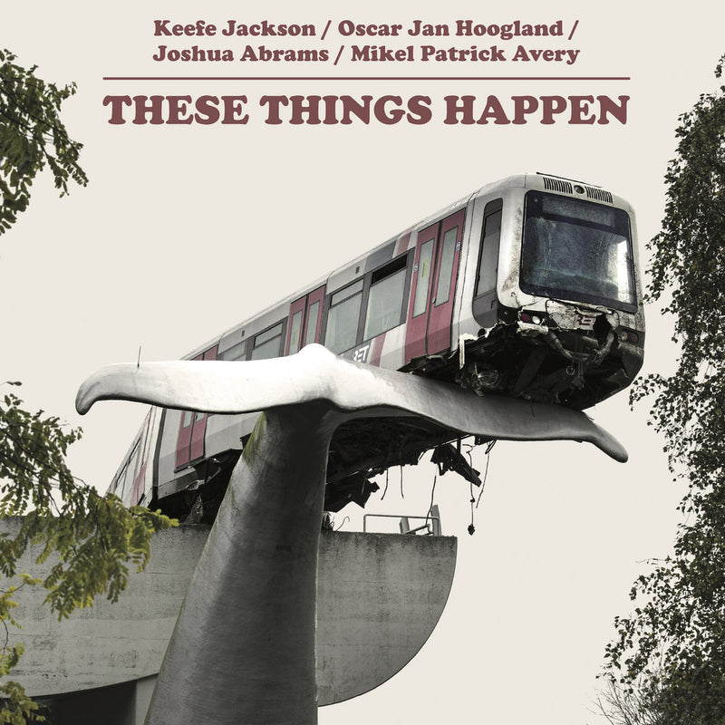 Keefe Jackson / Oscar Jan Hoogland / Joshua Abrams / Mikel Patrick Avery - These Things Happen (Vinyle Neuf)